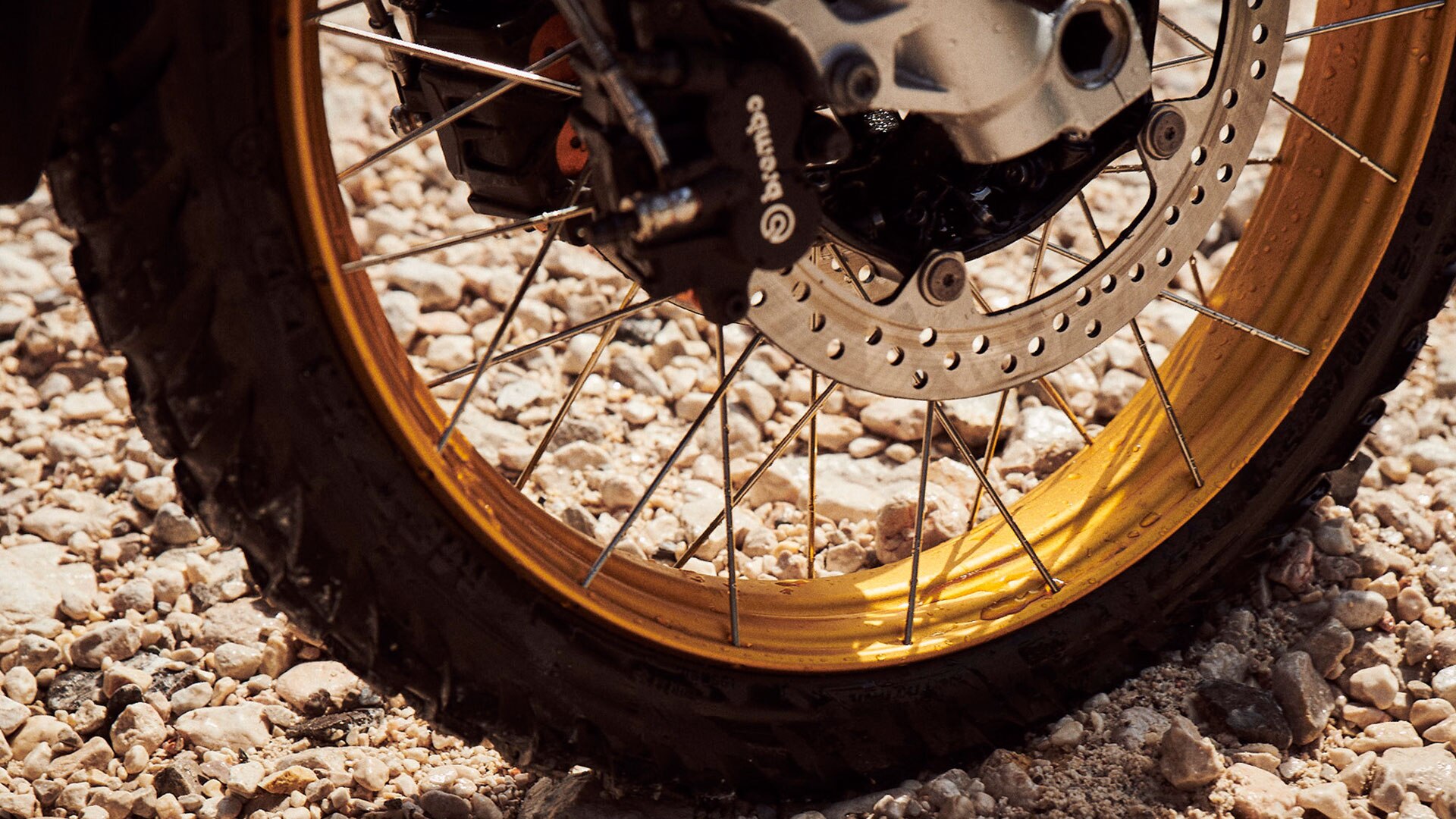 Detail des Vorderrads der neuen BMW F 850 GS Adventure