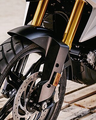 G 310 GS Gold-eloxierte Upside-down-Gabel.