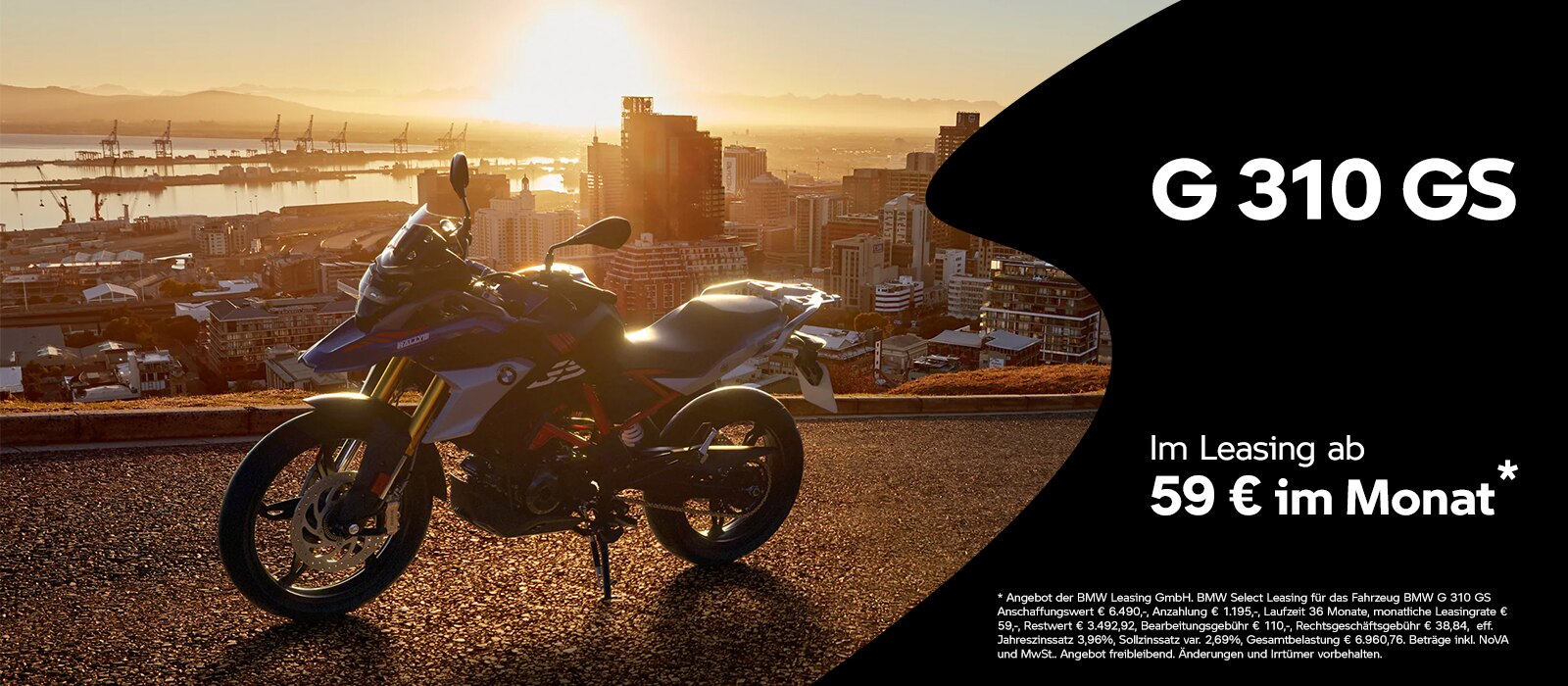 G 310 GS